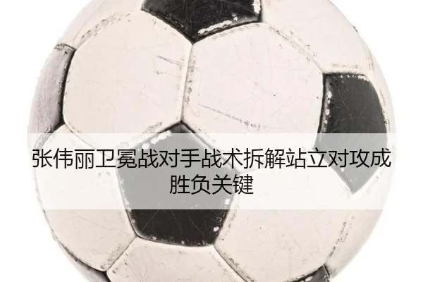 张伟丽卫冕战对手战术拆解站立对攻成胜负关键
